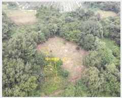  2024Ÿ��58546 �泲 ������ ������ ���� 557      ����(�Ӿ�)���