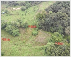  2024Ÿ��58546 �泲 ������ ������ ���� 557      ����(�Ӿ�)���