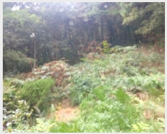  2024Ÿ��58546 �泲 ������ ������ ���� 557      ����(�Ӿ�)���