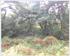  2024Ÿ��58546 �泲 ������ ������ ���� 557      ����(�Ӿ�)���