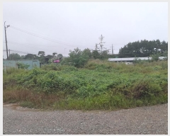  2024Ÿ��58645  �������