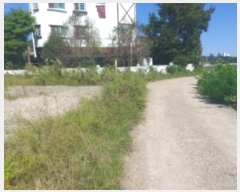  2024Ÿ��58645  �������