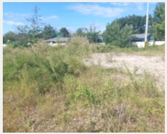  2024Ÿ��58645  �������