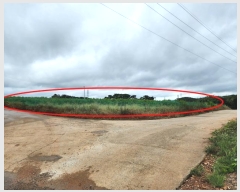  2024Ÿ58690 泲    246-2      ()