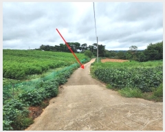  2024Ÿ58690 泲    246-2      ()