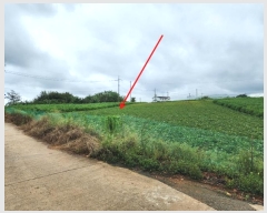  2024Ÿ58690 泲    246-2      ()