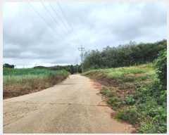  2024Ÿ58690 泲    246-2      ()