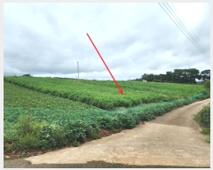  2024Ÿ58690 泲    246-2      ()