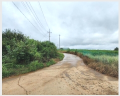  2024Ÿ58690 泲    246-2      ()