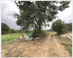  2024Ÿ��58843  �����