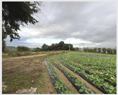  2024Ÿ��58843  �����