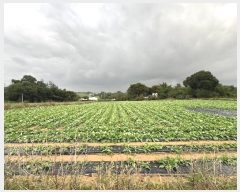  2024Ÿ��58843  �����