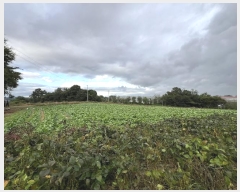  2024Ÿ��58843  �����