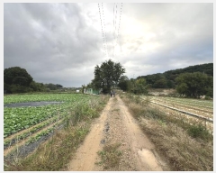  2024Ÿ��58843  �����