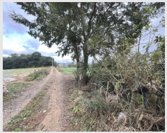  2024Ÿ��58843  �����