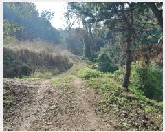  2024Ÿ58898 泲  õ ġ 284      (1)