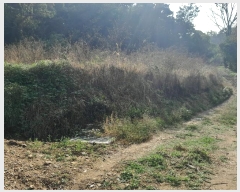  2024Ÿ58898 泲  õ ġ 284      (1)