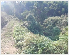  2024Ÿ58898 泲  õ ġ 284      (1)