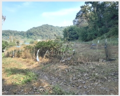  2024Ÿ58898 泲  õ ġ 284      (1)