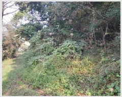  2024Ÿ58898 泲  õ ġ 284      (1)