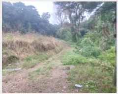  2024Ÿ58898 泲  õ ġ 284      (1)