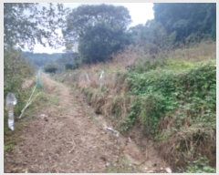  2024Ÿ58898 泲  õ ġ 284      (1)