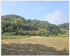  2024Ÿ59273 泲  õ  167-1      (1)