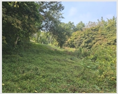  2024Ÿ59273 泲  õ  167-1      (1)