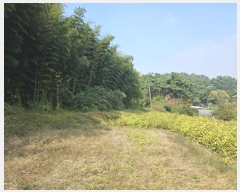  2024Ÿ59273 泲  õ  167-1      (1)