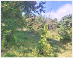  2024Ÿ59273 泲  õ  167-1      (1)