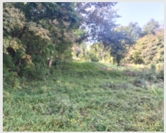  2024Ÿ59273 泲  õ  167-1      (1)