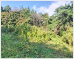  2024Ÿ59273 泲  õ  167-1      (1)