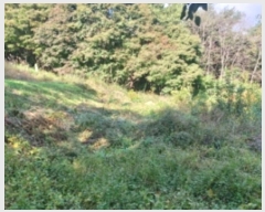  2024Ÿ59273 泲  õ  167-1      (1)