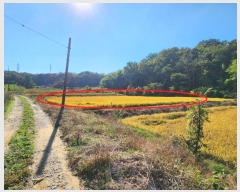  2024Ÿ��59587  ����