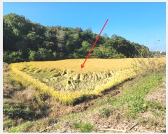  2024Ÿ��59587  ����