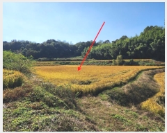  2024Ÿ��59587  ����