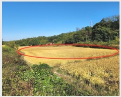  2024Ÿ��59587  ����