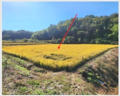  2024Ÿ��59587  ����