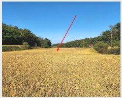  2024Ÿ��59587  ����