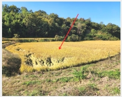  2024Ÿ��59587  ����