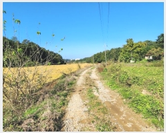  2024Ÿ��59587  ����