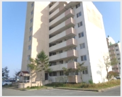  2024Ÿ59600 泲 ¾ȱ ¾ ̱ 25, 101 2203ȣ (Ʈ)   Ʈ