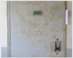  2024Ÿ59600 泲 ¾ȱ ¾ ̱ 25, 101 2203ȣ (Ʈ)   Ʈ