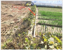  2024Ÿ��59716  �����