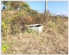  2024Ÿ��59716  �����