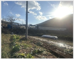  2024Ÿ��60198 �泲 ����� ���� ������ 191      ����(��)���