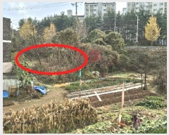  2024Ÿ60235 泲   67-6       ()