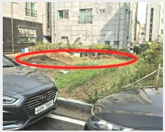  2024Ÿ60235 泲   67-6       ()