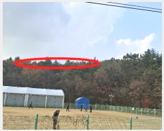  2024Ÿ60235 泲   67-6       ()