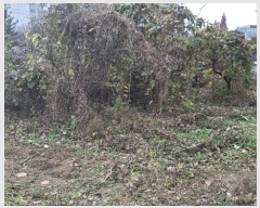  2024Ÿ60235 泲   67-6       ()